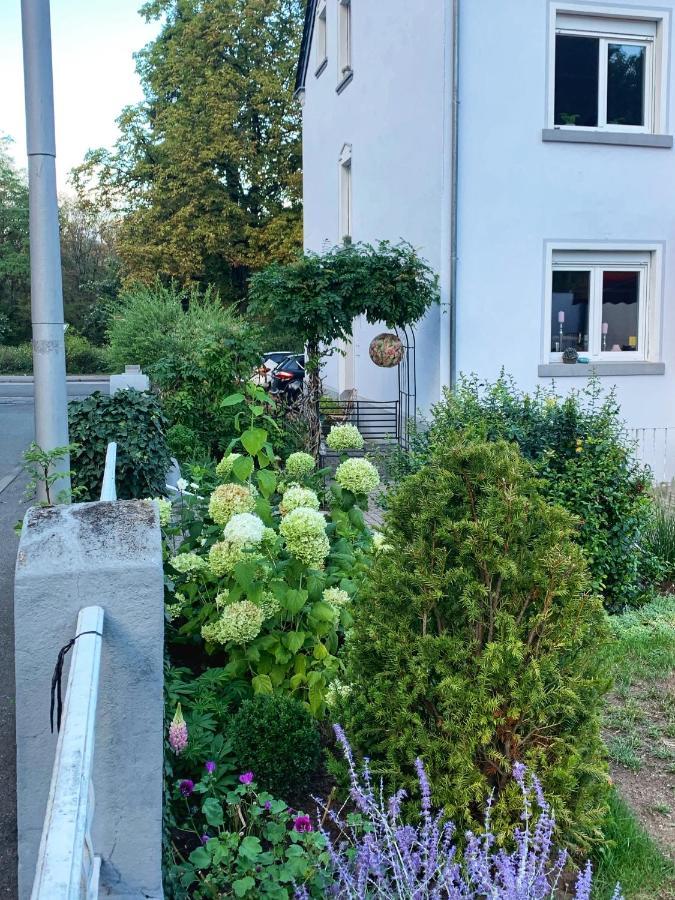 Sascha'S Home Saarlouis Exteriér fotografie